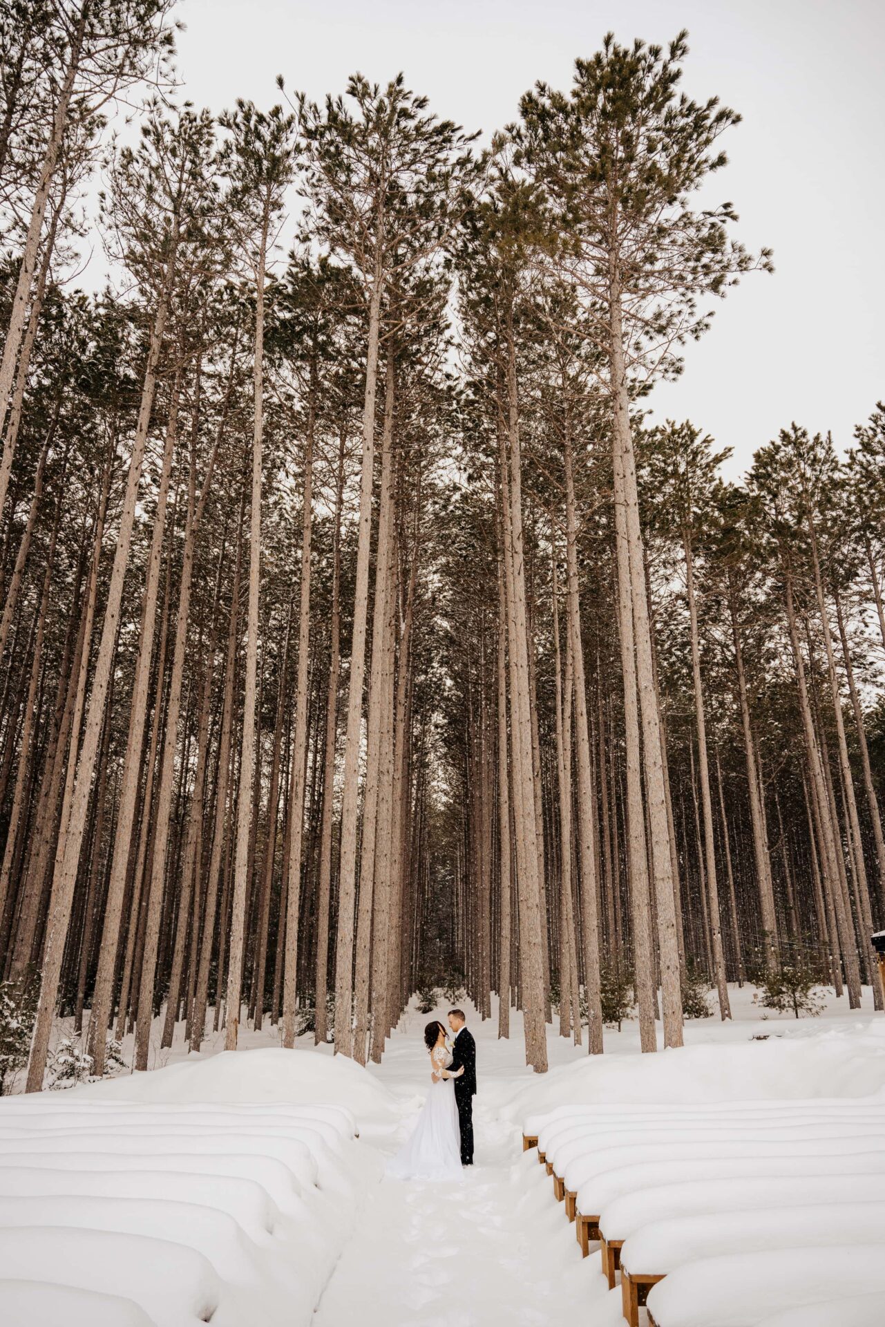 outdoor wedding in pine trees at pinewood in cambridge minnesota